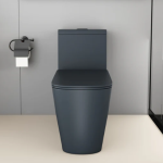 Siphonic one-piece toilet gray