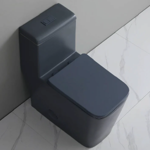 Siphonic one-piece toilet gray