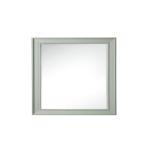 Bristol 29IN Rectangular Mirror Sage Green