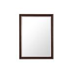 Glenbrooke 30IN Mirror Burnished Mahogany