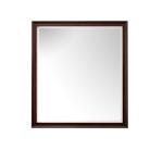 Glenbrooke 36IN Mirror Burnished Mahogany