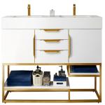 Columbia 59IN Double Vanity Cabinet Glossy White Radiant Gold