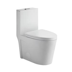 Siphon Flushing Toilet BTO-119 - Call for Price