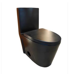 Siphon Flushing Toilet BTO-119 MB - Call for Price
