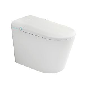 Smart Toilet BST-02 - Call for Price