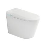 Smart Toilet BST-02 - Call for Price