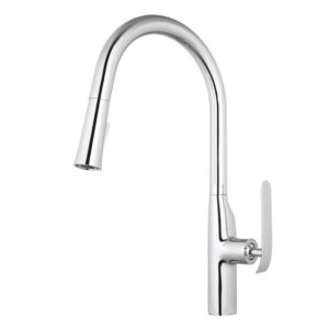 Aquamoon Dylan Single-Handle Kitchen Sink Faucet With Pull Down Sprayer, Brushed Nickel Finished